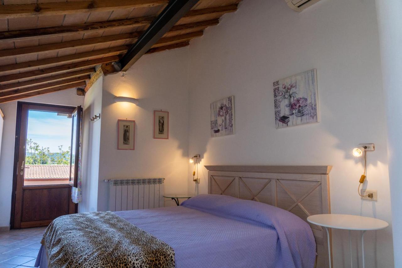 Maremma Toscana Piscina & Idromassaggio 그레세토 외부 사진